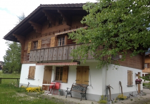 Chalet Dotterblume vorher