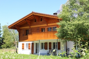 Chalet Dotterblume nachher