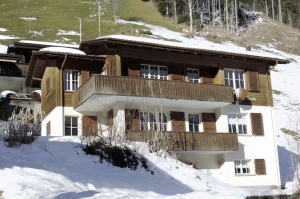 Chalet Reseda vorher